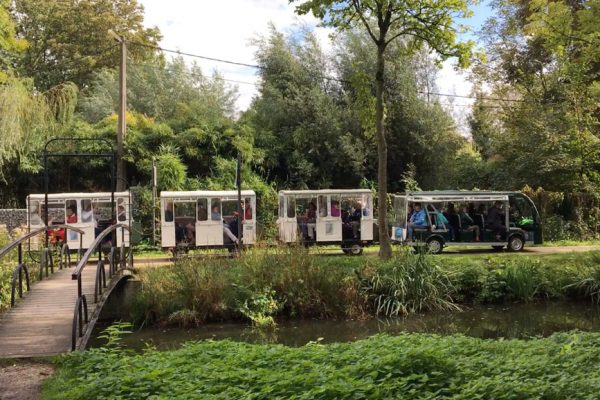 Trein 2 + 3 Trein 2 + 3