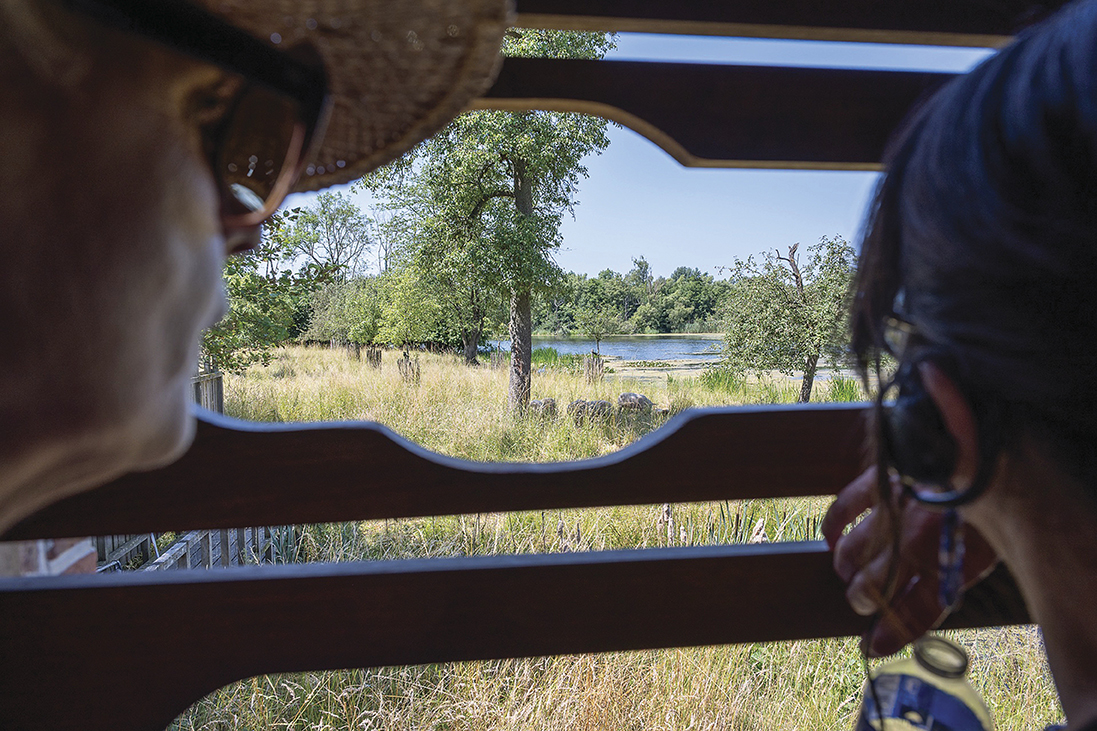 Poldertoer Zuid (Rupelmonde)