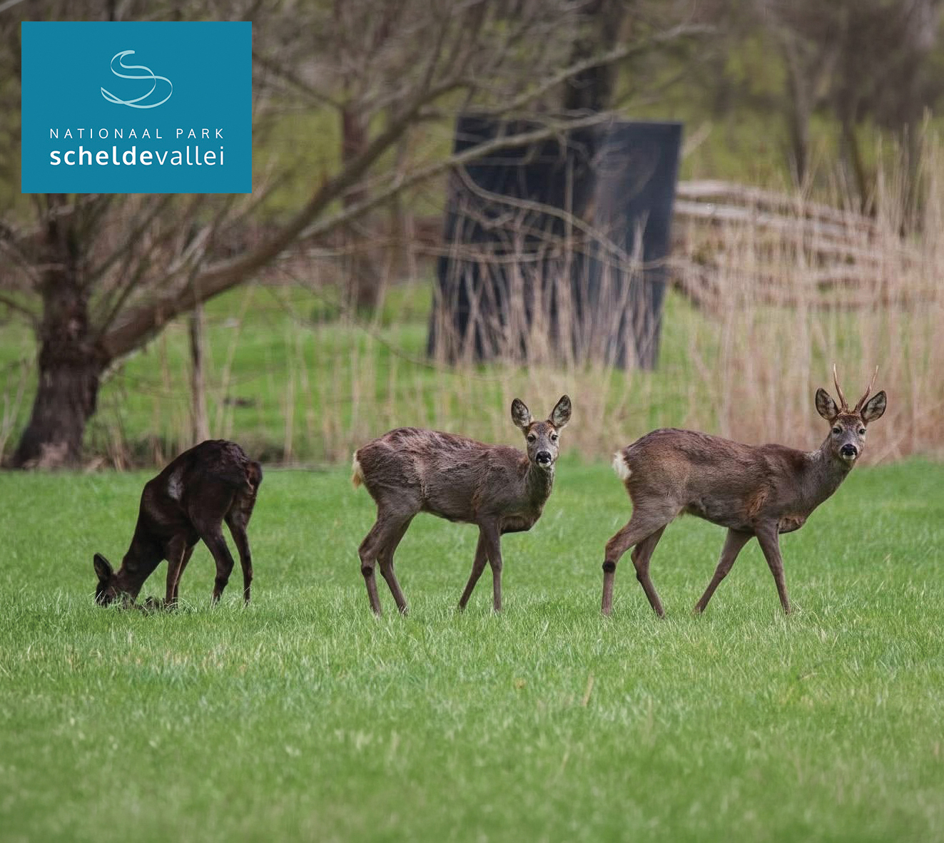 Nationaal Park Scheldevallei